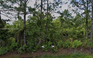 1008 Concord Pkwy NW, Placid Lakes, FL 33852