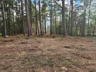 371 County Road 4152, Pittsburg, TX 75686