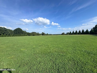 0 Wrays Ct, Gaston, NC 27832