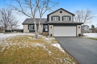 721 Clarendon Springs Ct, Schaumburg, IL 60194