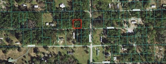 00 NE 156th Place, Fort Mc Coy, FL 32134