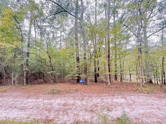 TBD Offshore Ln, Onalaska, TX 77360