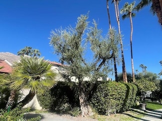 1470 S Camino Real, Palm Springs, CA 92264