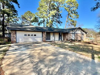 104 Iris Cir, Beckville, TX 75631