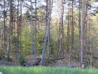 4181 Maple Hill Rd, Blair Township, MI 49637