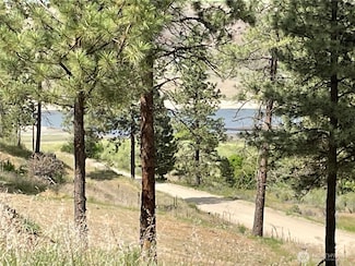 36011 Mill Canyon Rd N, Davenport, WA 99122