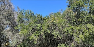 1282 N Magnolia Hill Way, Inverness, FL 34453