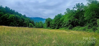 5595 Meadow Fork Rd, Hot Springs, NC 28743