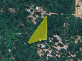 0 Hickory Unit 24626875, Etoile, TX 75944