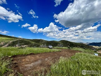 0 Haley Peak Ct, Glacier View Meadows, CO 80536