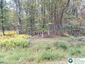0 Willow Dr, Penn Forest Township, PA 18229