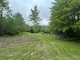 0 Gay Hill Rd, Spencer, NY 14883