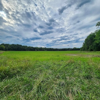 25.8+/- Acres E 163rd St, Pleasant Hill, MO 64080