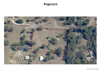 1502 N Popcorn Point, Inverness, FL 34453