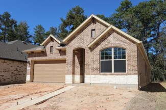 422 Embden Rim Dr, Willis, TX 77318