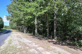 681 New Hope Rd, Orangeburg, SC 29118