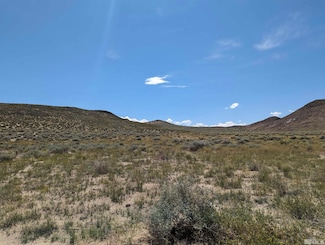 APN, Fallon, NV 89406