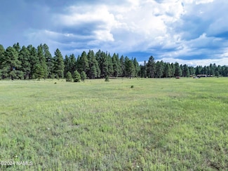 5256 Stonehouse Dr Unit 12, Flagstaff, AZ 86001