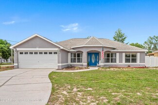 1219 Aladdin Rd, Spring Hill, FL 34609