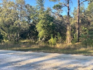 33193 Easter Dr, Webster, FL 33597