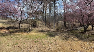 5204 Prestley Crossing Ln, Douglasville, GA 30135