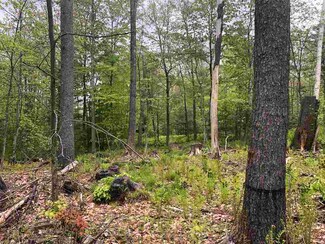 156 Dane Rd, Center Harbor, NH 03226