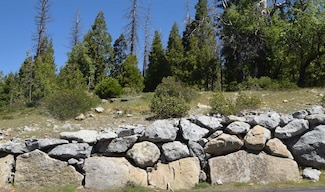 42387 Opal Dr Unit lot61, Shaver Lake, CA 93664