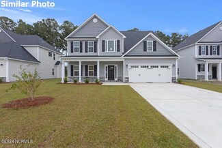 706 Puppy Drum Ln, Maysville, NC 28555