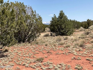 4209 E Parkway Dr, Williams, AZ 86046
