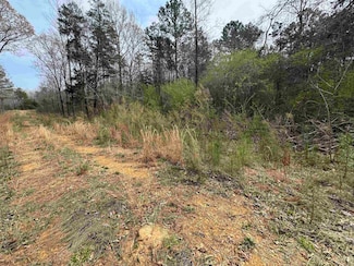 TRACT 4 Kason Dr, Stantonville, TN 38379