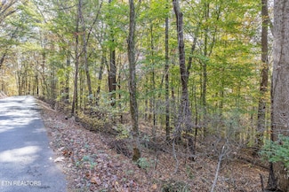 0 E Gallaher Ferry Rd, Hardin Valley, TN 37932
