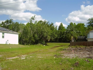 1425 Teal Dr, Poinciana, FL 34759