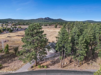 1019 Stone Hollow Loop, Williams, AZ 86046