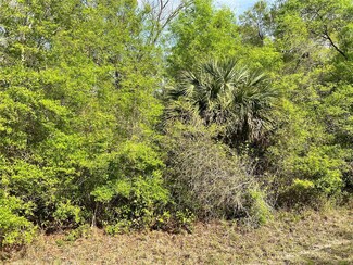 0 NW 74th Ct Unit 112 MFRW7874664, Manattee Road, FL 32626