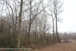 7 West St, Holly Springs, MS 38635