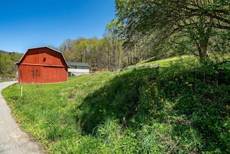 TBD Hogum Hollow Rd, Roan Mountain, TN 37687