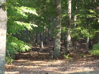 0 Pea Hilton Trail, Henrico, NC 27842