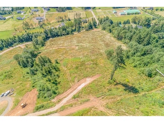 393 Hansen Ext Rd, Woodland, WA 98674
