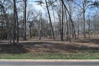 156 Flint Ridge Trail, New London, NC 28127