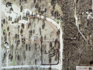 20 Cedar Falls Rd, Shell Knob, MO 65747