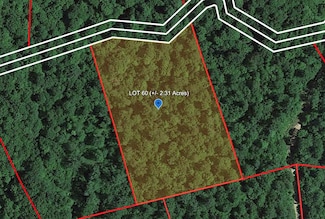 152 Gerber Daisy Trail, Bragg, WV 25918