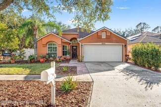 9202 Fawn Crossing Ct, Tampa, FL 33626