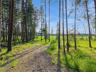 1350 Mooring Meadow Rd, Columbia Falls, MT 59912