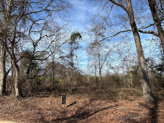 0 County Road 2212, Troy, AL 36079