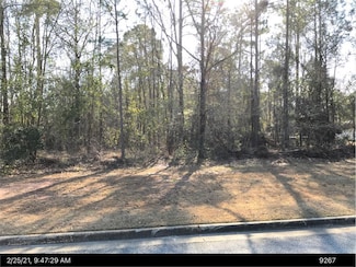 112 Amelia Ln, Leesburg, GA 31763