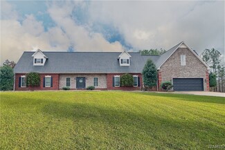 165 Chris Ln, Winfield, AL 35594