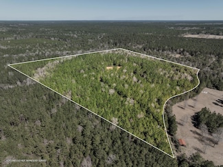 0 Matthew Johnson Rd, Wiggins, MS 39577