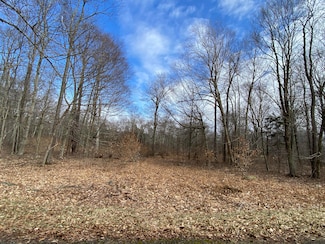 1022 W Wadi Rd W, Pocono Lake, PA 18347