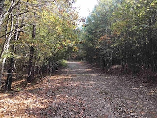 0 N Snow Springs Rd Unit 9520-EAST 20051679, Adairsville, GA 30103