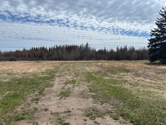 10686 Highway 37, Hibbing, MN 55746